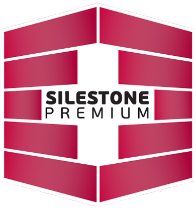 Logo Premium